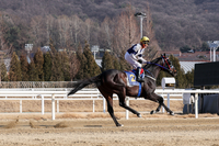 2026년 대상경주 첫 승 주인공은 스피드영…제24회 세계일보배(L) 우승