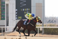 차분해서 더 강한 ‘강심장’ 진겸 기수, 통산 300승 달성
