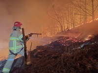 [소방청]함양 산불 민가 확산 차단에 총력 대응!