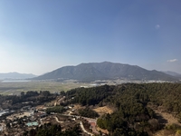 숲·의료·미식의 완벽한 삼합…잃어버린 일상의 리듬을 찾아 장흥으로 [SS여행]