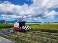 전남도, 올해 식량산업에 역대 최대 9천59억