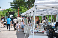 속초시립박물관, 2026년 노리숲길 숲속마켓 셀러 모집