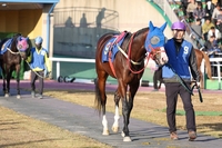 3세 최우수마 가린다…제39회 스포츠서울배, 3월1일 삼일절 펼쳐진다