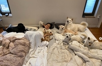 ‘엉망진창이라 느껴져도’…이효리의 뭉클일상, 훗날 가장 행복했던 순간