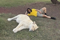 사자 만진 노홍철 재차 ‘깜짝’…“약물주입 아냐, 수면제 유통도 안돼”