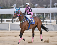 ‘렛츠런파크 서울 지배했다’ 로쉬, 제39회 스포츠서울배서 12마신 차 압도적 우승…박재용 마주·성상현 조교사 첫 대상경주 제패 [SS현장]