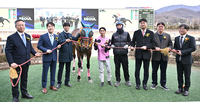 [포토] 로쉬, 스포츠서울 대상경마 우승 차지!