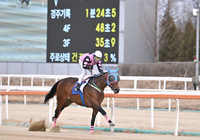 [포토] 로쉬, 압도적인 스포츠서울배 대상경마 우승