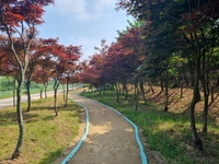 경기도, 427억 투입 도시숲 37만5000㎡ 조성