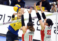 시즌 막바지 1위 싸움-준PO 개최까지, 페퍼-정관장 ‘고춧가루 부대’ 경계주의보