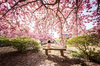 전남도,  3월부터 남도한바퀴 ‘봄 여행코스’ 운영