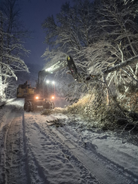 평창군, 대관령 39.2cm 폭설 완벽 대응