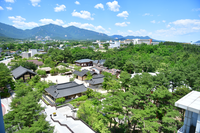 속초시립박물관, 전시·연구용 자료 공개 수집