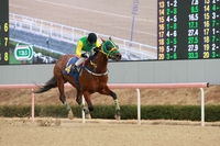 클러치위너, 제19회 경남신문배 우승…3세마 최강 존재감