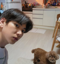 이주승 母 반려견 코코, 꽃분이 곁으로 “연이어 슬픈 소식 죄송해” [전문]