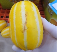 경기도, 전국 최초 ‘못난이’ 농산물 유통 지원