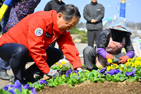 속초시, 봄꽃 38만 본 식재 본격 착수