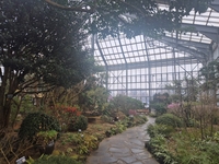 화성시, 시민의 날 맞아 우리꽃식물원 6일간 무료 개방