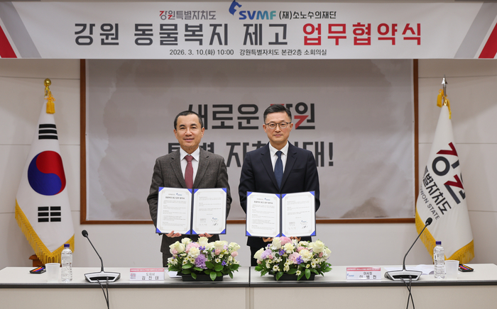 [강원자치도]동물복지 민관 협력, 유기묘 입양·반려동물 의료지원 확대 - 뉴스 썸네일 이미지