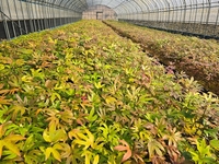 전남산림연구원, 산림 기술개발 메카 입증