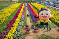 [제22회 삼척맹방유채꽃축제]시련 딛고 피어난 노란 기적, 4월 3일 개막!