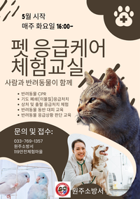 [강원소방]원주, 펫(Pet) 응급케어 체험교실 구축·운영