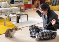 “나 좀 봐줘!”... 피겨 여왕 김연아, 강아지·고양이 앞에서는 ‘애교 만점’ 멍집사