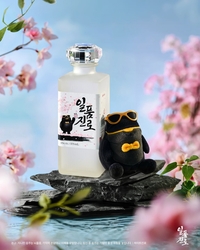 “봄 분위기 담았다”…하이트진로, ‘일품진로 봄 에디션’ 출시