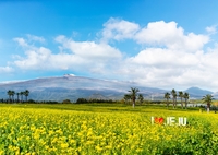 기린빌라리조트, 봄 시즌 맞아 ‘힐링 배스 스테이 패키지’ 출시