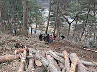 [강원소방]오승훈 본부장 “벌목 작업 전 안전수칙 충분히 숙지, 반드시 보호장비 착용해야”
