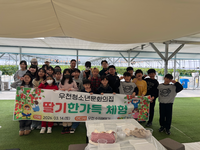 횡성군 우천청소년문화의집, 농촌체험 프로그램 ‘딸기한가득’ 운영