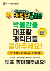 속초시립박물관, 캐릭터 공모전 선호도 조사 실시