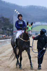 김용근 기수, 데뷔 21년만 한국경마 네 번째 1000승 금자탑