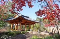 수원시, 일월수목원 ‘2026년 꼭 가봐야 할 수목원’ 10선 선정