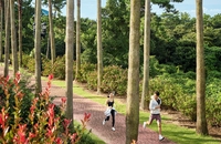 “제주 봄바람 맞으며 스마트 러닝” 그랜드 조선 제주, ‘레디, 셋, 웰니스’ 패키지 출시