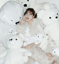“곰돌이 속 파묻힌 생일 축하”… 리사, ‘인형 비주얼’ 눈길[★SNS]