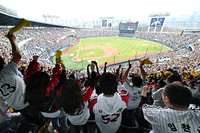 [포토]개막 이틀 연속 전구장 매진 KBO리그