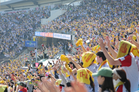 “야구 티켓? 열차표 구하기도 힘들었지만…” 올시즌도 팬 야구 사랑 ‘대박’ [SS현장속으로]