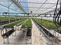 전남도, 친환경농업육성기금 70억 저리 융자