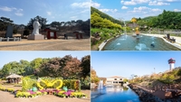 용인시, 당일 버스 상품 ‘조아용! 용인 힐링 원데이 투어’ 출시