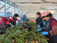 전남도, ‘여성농업인 복지사업’ 더 넓고 두터워진다