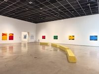 전남도립미술관, 쿤 반 덴 브룩 “지구의 피부” 전시 개최