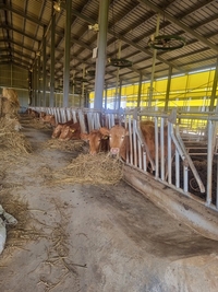 전남도, 축산농가 사료구매 융자금 1천200억 지원