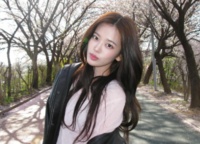 “여친짤이라는데 본인은 어색?”…안유진, 벚꽃 속에서 핀 미모 [★SNS]