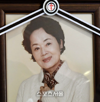 ‘연기·사업 열정’ 故 김영애, 췌장암 투병 중에도 촬영장 지켰다…별세 9주기