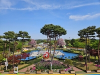 함평군, 봄맞이 관광객 대상 인센티브 확대