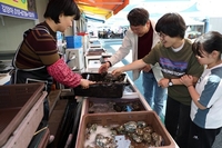 마량놀토수산시장 개장, 봄바람 타고 관광객 ‘북적’