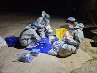 전남동물위생시험소, 종계장 가금질병 정밀검사 강화