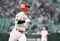 [포토]시즌 첫 홈런 넘기는 SSG 정준재