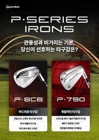 “P790·P8CB 통했다”…테일러메이드, 2025 국내 골프 클럽시장 점유율 1위 등극